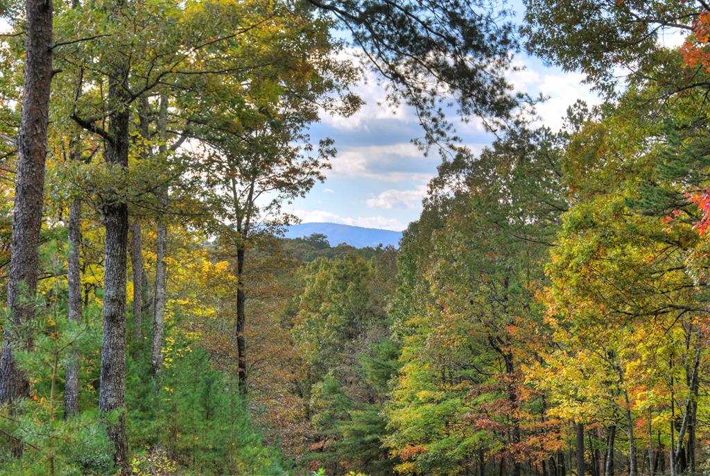 Ellijay, Georgia, 30540, United States, 5 Bedrooms Bedrooms, ,4 BathroomsBathrooms,Residential,Active,1745330