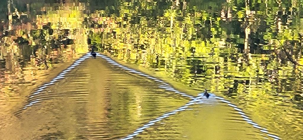 Ellijay, Georgia, 30540, United States, 4 Bedrooms Bedrooms, ,3 BathroomsBathrooms,Residential,Active,1971005