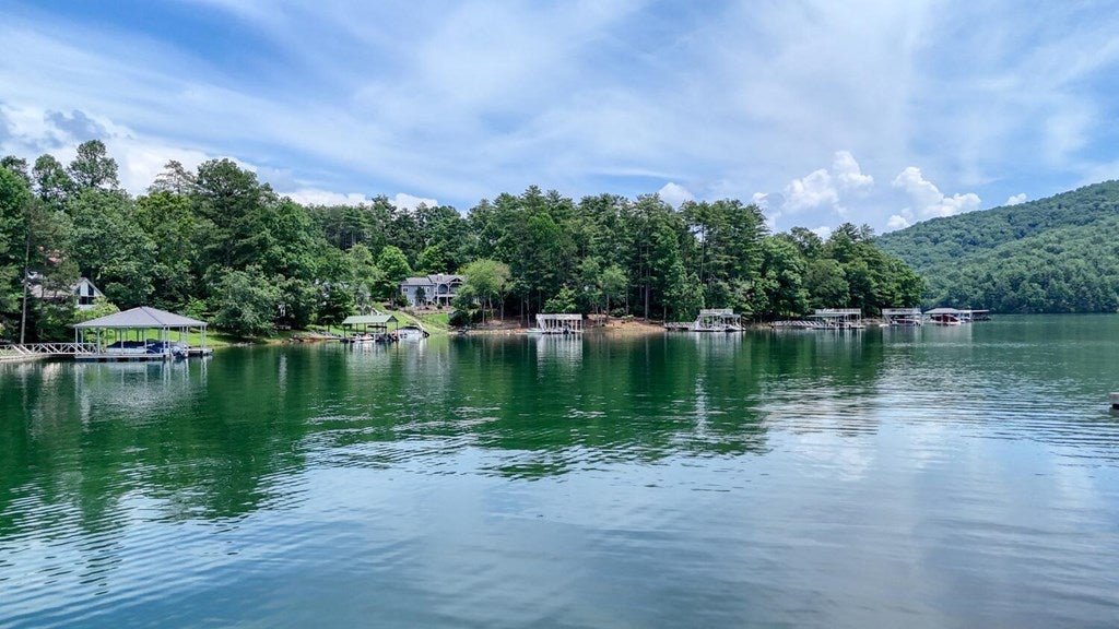 Blairsville, Georgia, 30512, United States, 3 Bedrooms Bedrooms, ,3 BathroomsBathrooms,Residential,Active,1877859