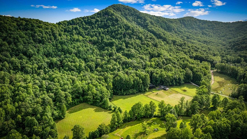 Blue Ridge, Georgia, 30513, United States, 3 Bedrooms Bedrooms, ,4 BathroomsBathrooms,Residential,Active,2008330