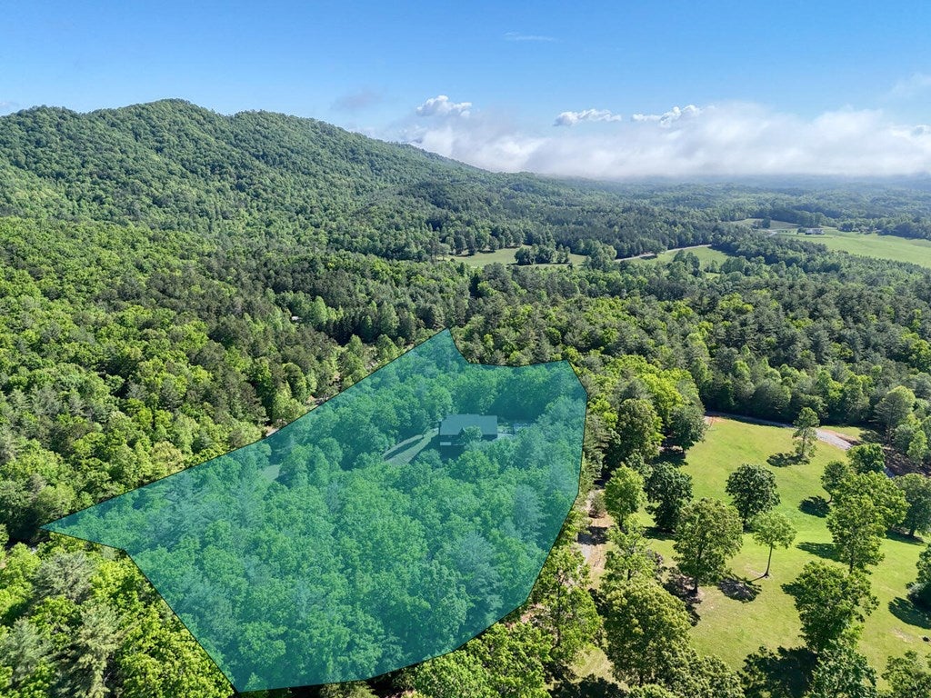 Brasstown, North Carolina, 28902, United States, 4 Bedrooms Bedrooms, ,5 BathroomsBathrooms,Residential,Active,1810516