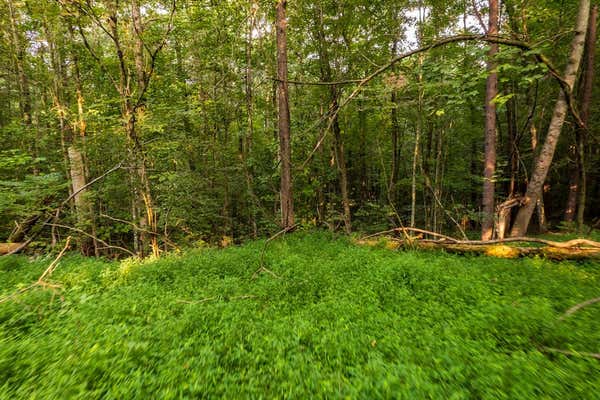 0 JANUARY LANE, ELLIJAY, GA 30540, photo 3 of 16