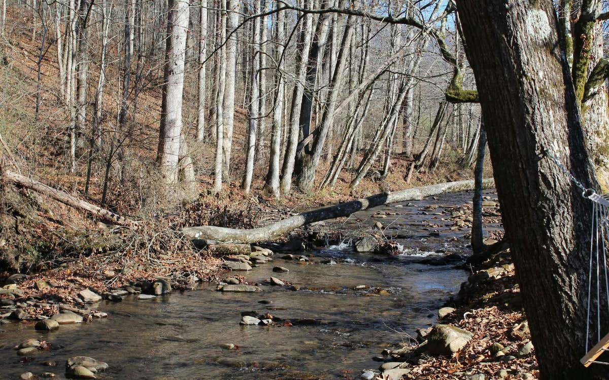 HWY 64 OLD HWY 64E, HAYESVILLE, NC 28904, photo 1 of 26