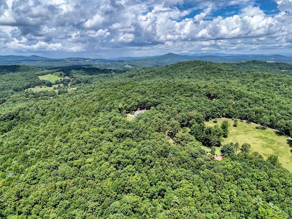 Blairsville, Georgia, 30512, United States, 4 Bedrooms Bedrooms, ,4 BathroomsBathrooms,Residential,Active,1892611