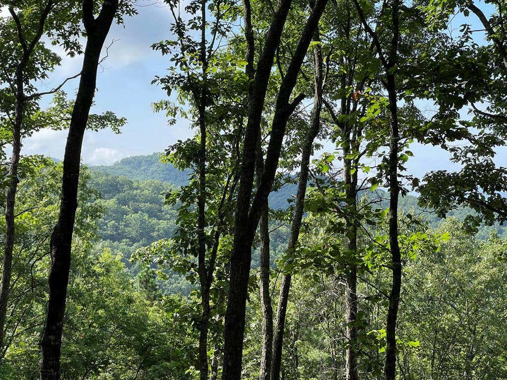 49.8 STAMEY COVE ROAD, HAYESVILLE, NC 28904, photo 1 of 16