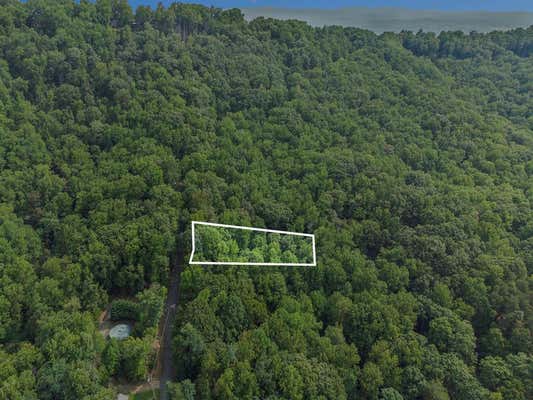 M100 SKYVIEW DRIVE, ELLIJAY, GA 30536 - Image 1