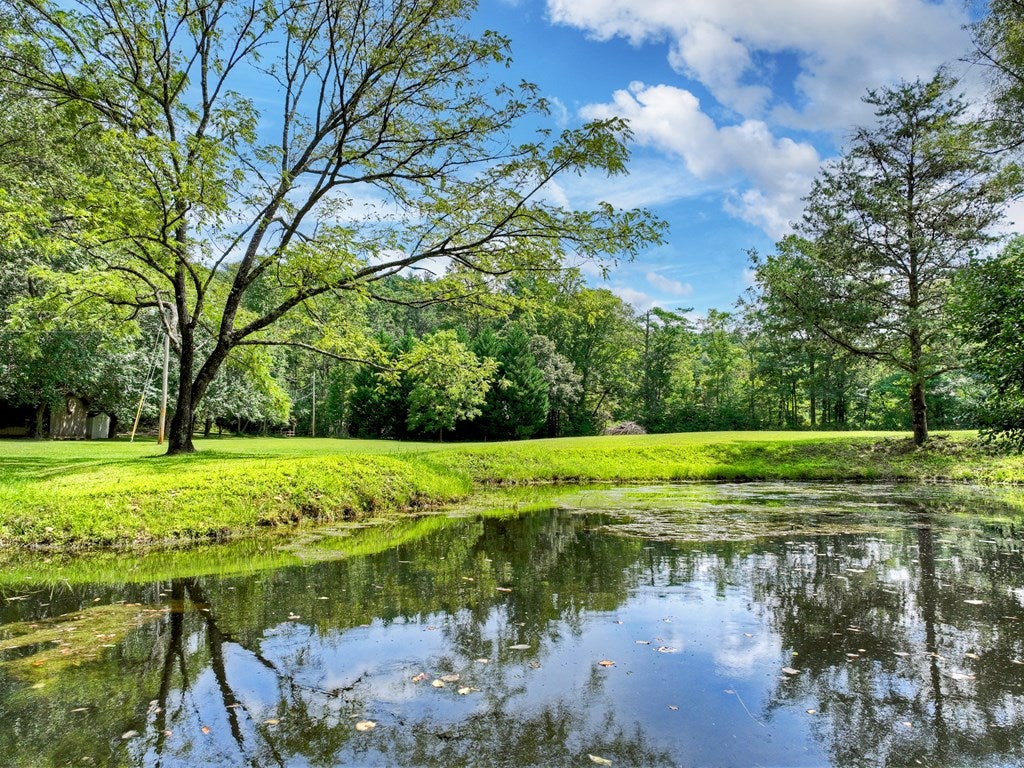 Ellijay, Georgia, 30536, United States, 2 Bedrooms Bedrooms, ,2 BathroomsBathrooms,Residential,Active,1946315