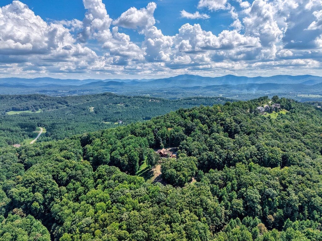 Blairsville, Georgia, 30512, United States, 4 Bedrooms Bedrooms, ,6 BathroomsBathrooms,Residential,Active,1934771