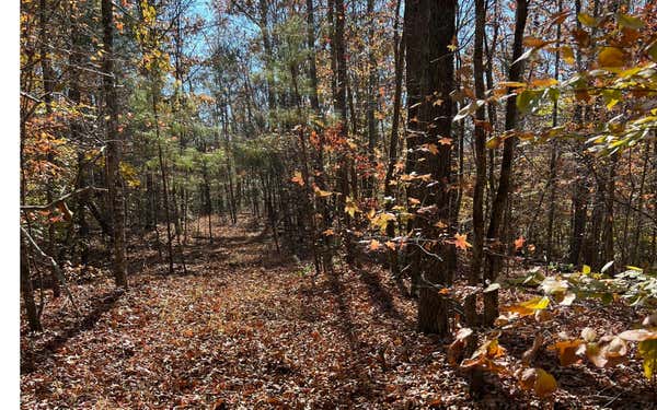 56 AC OLD HWY 5S, TALKING ROCK, GA 30175, photo 2 of 14