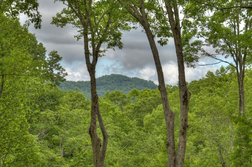 Ellijay, Georgia, 30536, United States, 5 Bedrooms Bedrooms, ,6 BathroomsBathrooms,Residential,Active,1953362