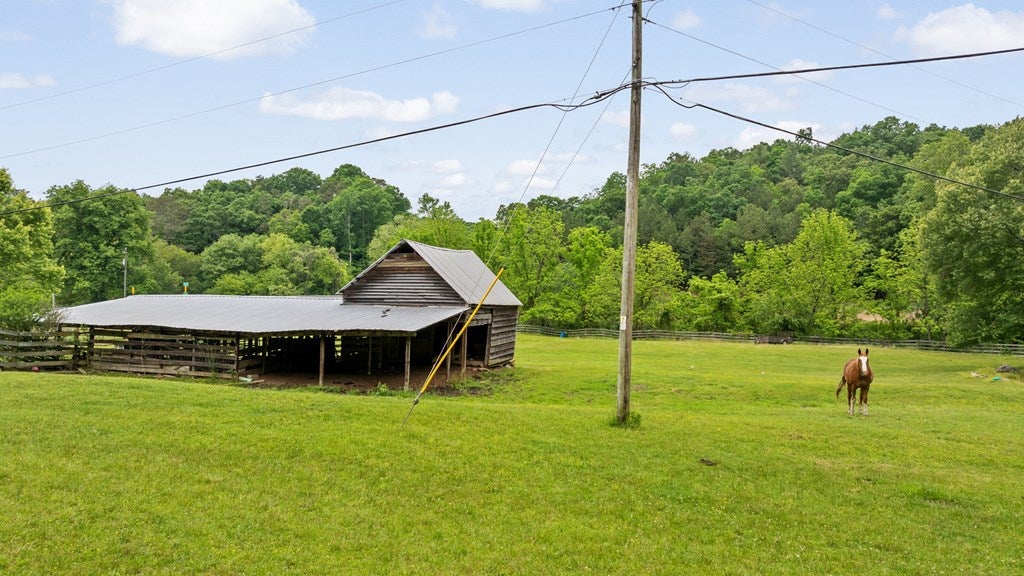 Ellijay, Georgia, 30536, United States, 3 Bedrooms Bedrooms, ,3 BathroomsBathrooms,Residential,Active,1953369