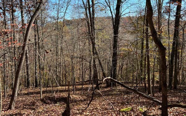 56 AC OLD HWY 5S, TALKING ROCK, GA 30175, photo 4 of 14