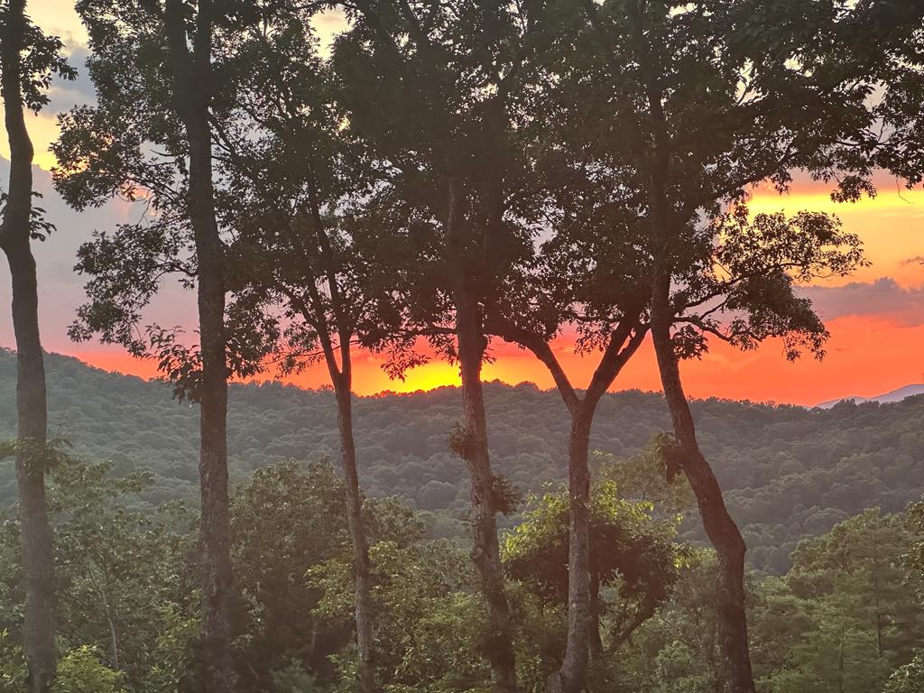 Ellijay, Georgia, 30536, United States, 3 Bedrooms Bedrooms, ,4 BathroomsBathrooms,Residential,Active,1968120