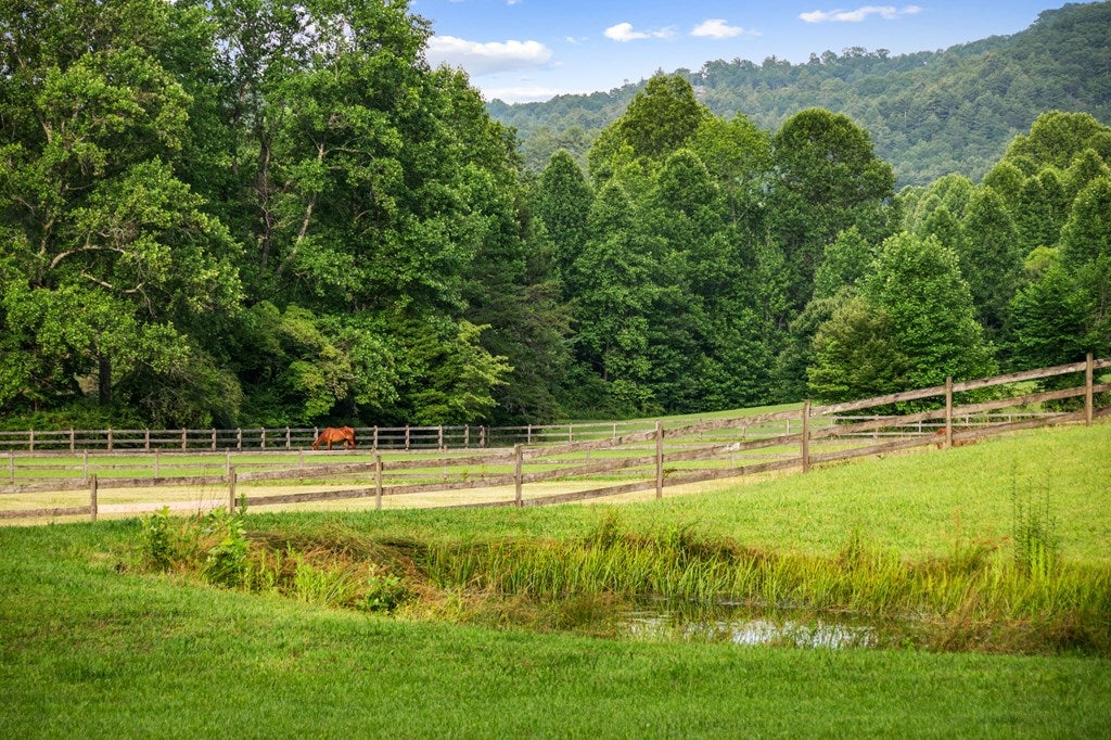 Blue Ridge, Georgia, 30513, United States, 3 Bedrooms Bedrooms, ,4 BathroomsBathrooms,Residential,Active,2008330