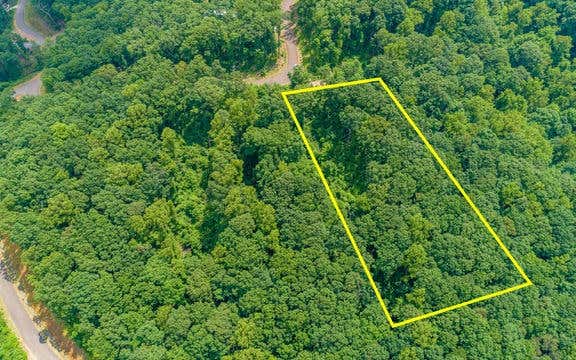 2AC ANDES RIDGE LOT 288, ELLIJAY, GA 30536 - Image 1