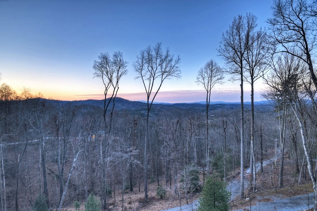 Blue Ridge, Georgia, 30513, United States, 5 Bedrooms Bedrooms, ,6 BathroomsBathrooms,Residential,Active,2017447