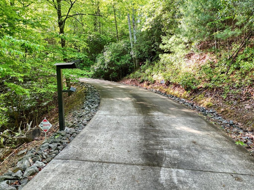 Brasstown, North Carolina, 28902, United States, 4 Bedrooms Bedrooms, ,5 BathroomsBathrooms,Residential,Active,1810516