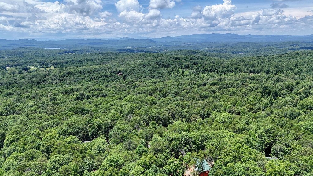 Blairsville, Georgia, 30512, United States, 3 Bedrooms Bedrooms, ,4 BathroomsBathrooms,Residential,Active,1877837