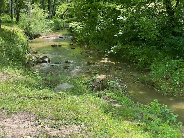 Blue Ridge, Georgia, 30513, United States, 3 Bedrooms Bedrooms, ,3 BathroomsBathrooms,Residential,Active,1926691