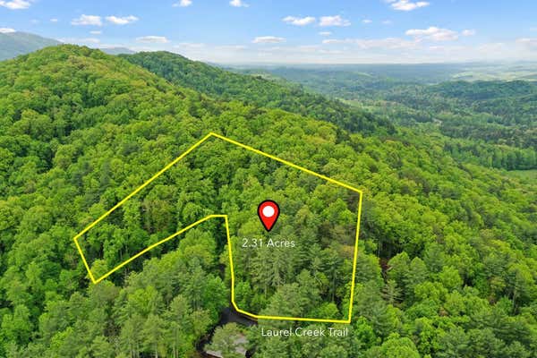 LOT 32 CROCKETT MOUNTAIN, CHERRY LOG, GA 30522, photo 4 of 15