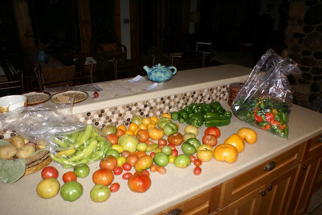 Cherry Log, Georgia, 30522, United States, 4 Bedrooms Bedrooms, ,5 BathroomsBathrooms,Residential,Active,1959948