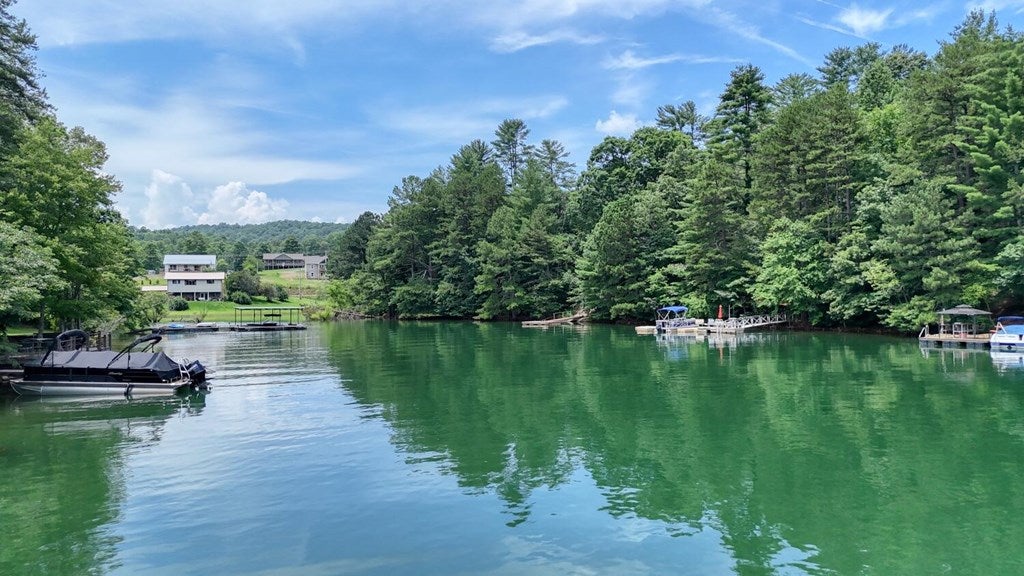 Blairsville, Georgia, 30512, United States, 3 Bedrooms Bedrooms, ,3 BathroomsBathrooms,Residential,Active,1877859
