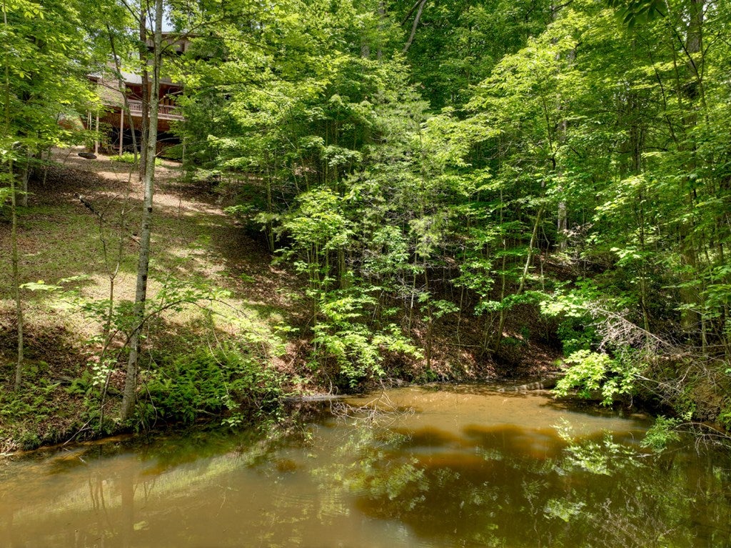 Morganton, Georgia, 30560, United States, 4 Bedrooms Bedrooms, ,6 BathroomsBathrooms,Residential,Active,1944072