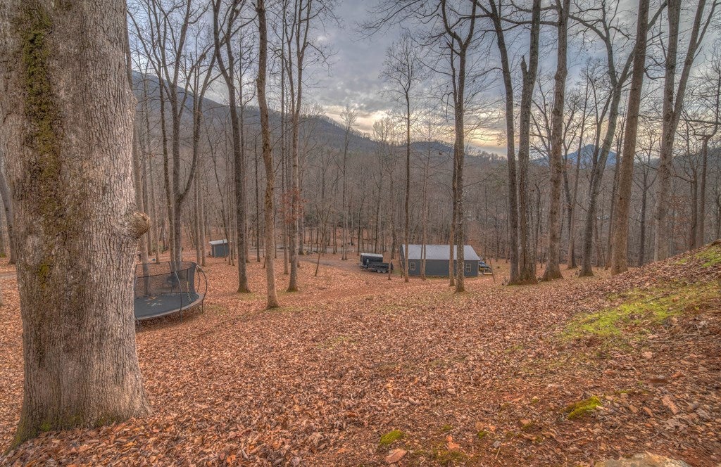 Hiawassee, Georgia, 30546, United States, 3 Bedrooms Bedrooms, ,2 BathroomsBathrooms,Residential,Active,2007353