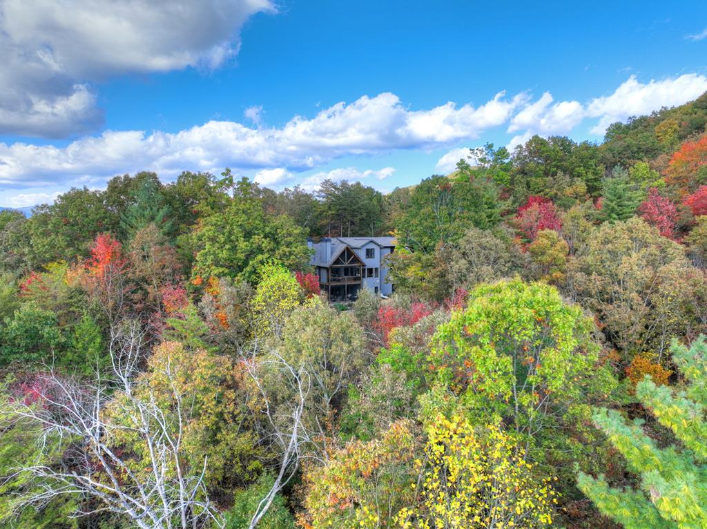 Ellijay, Georgia, 30540, United States, 5 Bedrooms Bedrooms, ,4 BathroomsBathrooms,Residential,Active,1745330