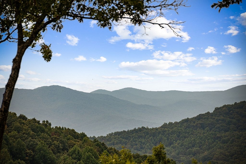 Morganton, Georgia, 30560, United States, 4 Bedrooms Bedrooms, ,5 BathroomsBathrooms,Residential,Active,1952626