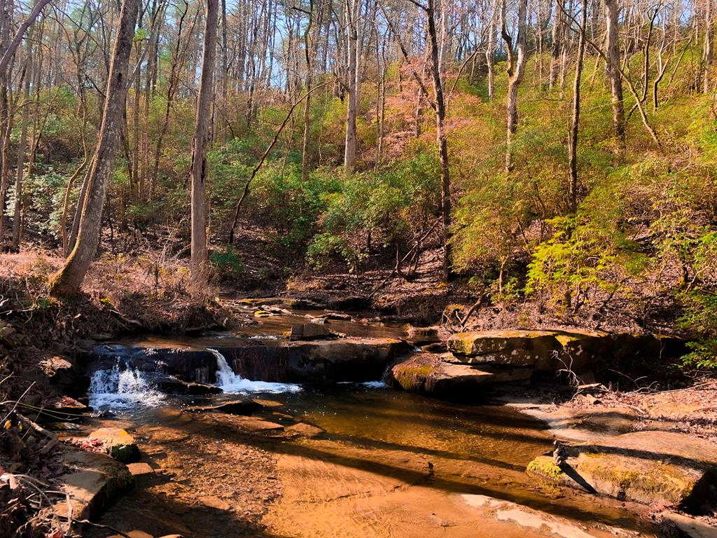 Talking Rock, Georgia, 30175, United States, 4 Bedrooms Bedrooms, ,3 BathroomsBathrooms,Residential,Active,2000224