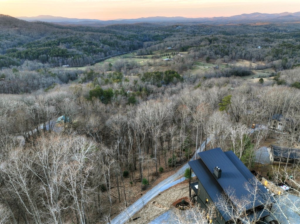 Blue Ridge, Georgia, 30513, United States, 5 Bedrooms Bedrooms, ,6 BathroomsBathrooms,Residential,Active,2017447