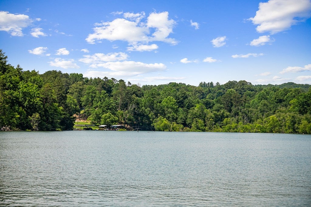 Morganton, Georgia, 30560, United States, 4 Bedrooms Bedrooms, ,3 BathroomsBathrooms,Residential,Pending,1858671