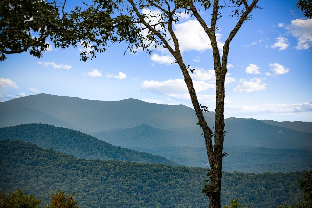 Morganton, Georgia, 30560, United States, 4 Bedrooms Bedrooms, ,5 BathroomsBathrooms,Residential,Active,1952626