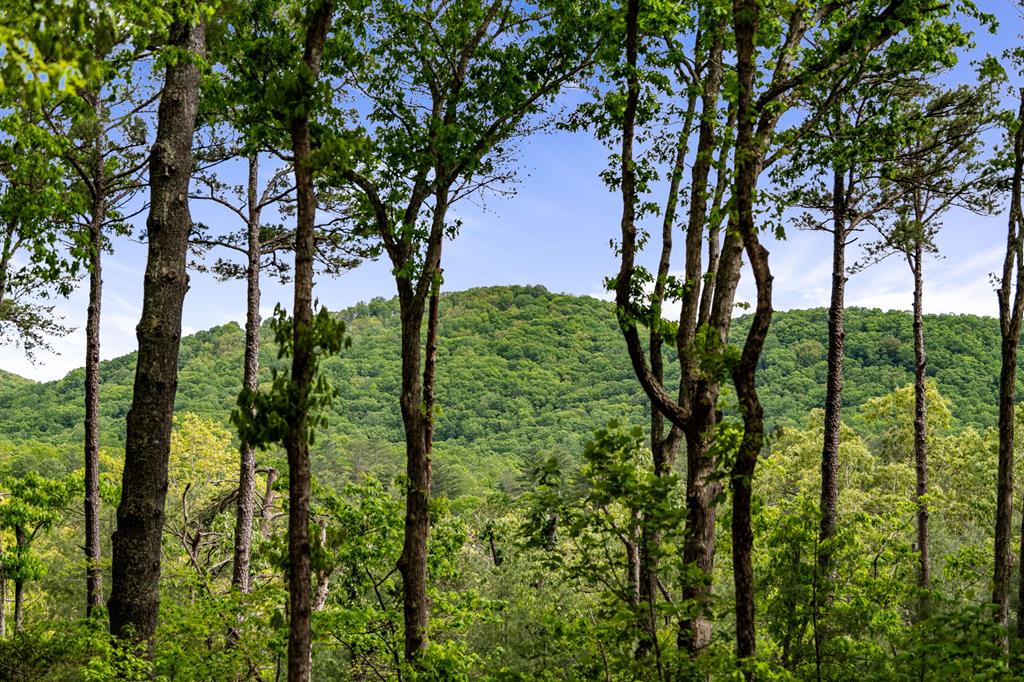 Ellijay, Georgia, 30536, United States, 4 Bedrooms Bedrooms, ,4 BathroomsBathrooms,Residential,Active,1800168