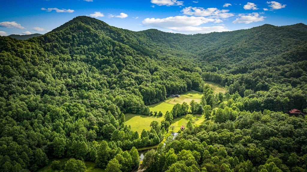 Blue Ridge, Georgia, 30513, United States, 3 Bedrooms Bedrooms, ,4 BathroomsBathrooms,Residential,Active,2008330