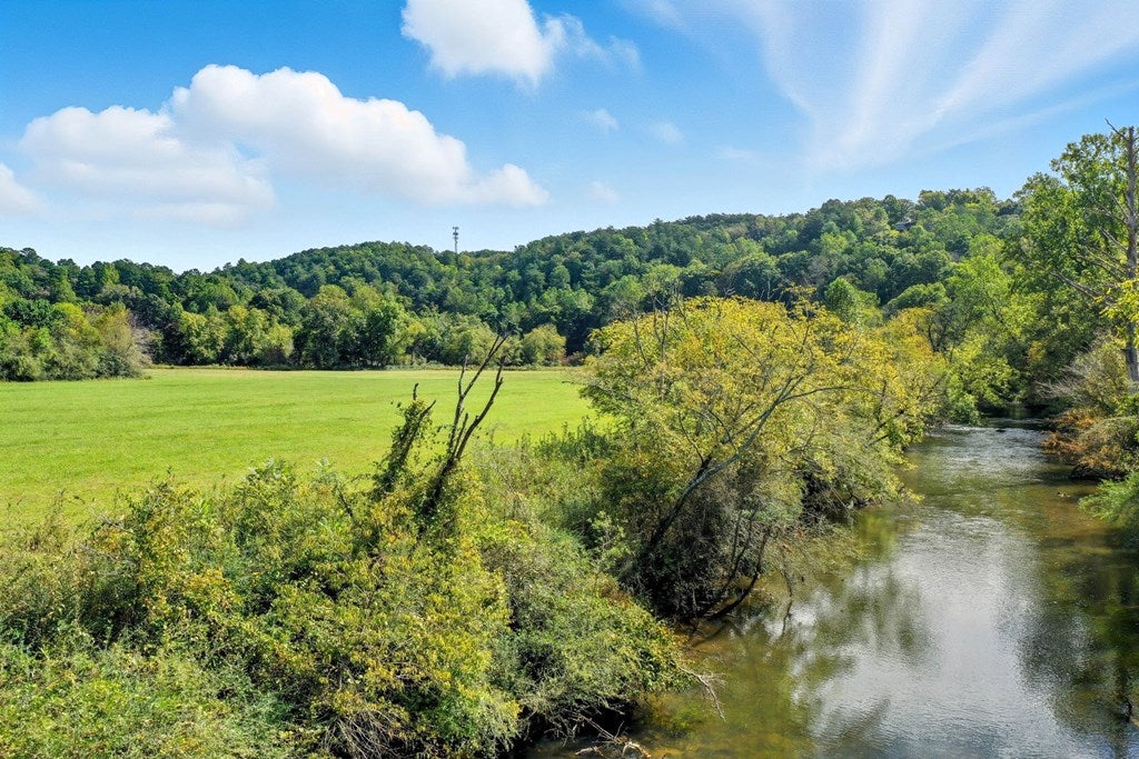 Ellijay, Georgia, 30540, United States, 4 Bedrooms Bedrooms, ,4 BathroomsBathrooms,Residential,Active,1954327