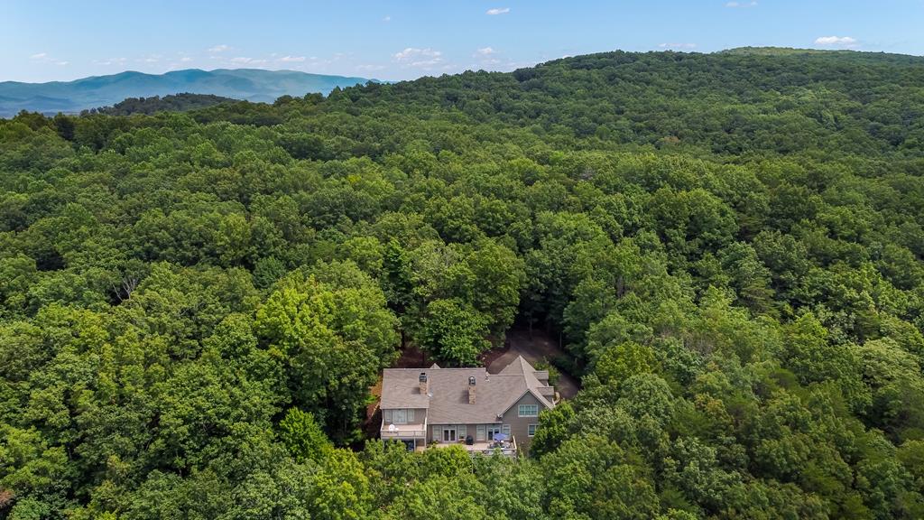 Ellijay, Georgia, 30536, United States, 6 Bedrooms Bedrooms, ,7 BathroomsBathrooms,Residential,Active,1790226