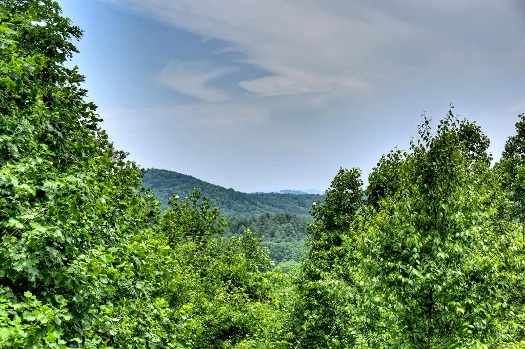Blue Ridge, Georgia, 30513, United States, 4 Bedrooms Bedrooms, ,4 BathroomsBathrooms,Residential,Active,1877814