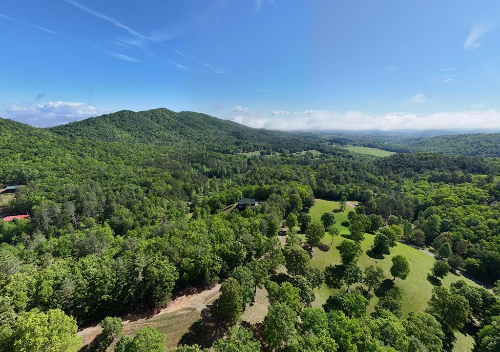 Brasstown, North Carolina, 28902, United States, 4 Bedrooms Bedrooms, ,5 BathroomsBathrooms,Residential,Active,1810516