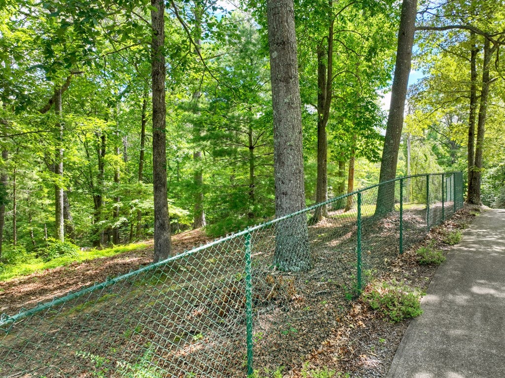 Mineral Bluff, Georgia, 30559, United States, 4 Bedrooms Bedrooms, ,3 BathroomsBathrooms,Residential,Active,1899865