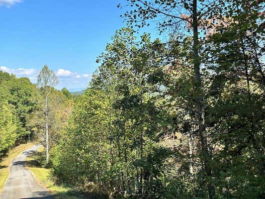 LOT 1&3 RUBY RIDGE DRIVE, YOUNG HARRIS, GA 30582 - Image 1