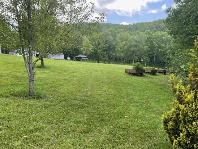 Blue Ridge, Georgia, 30513, United States, 3 Bedrooms Bedrooms, ,3 BathroomsBathrooms,Residential,Active,1926691