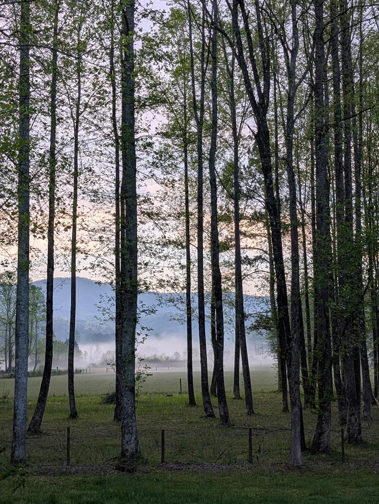 Ellijay, Georgia, 30540, United States, 4 Bedrooms Bedrooms, ,3 BathroomsBathrooms,Residential,Active,1968430