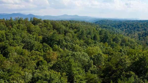 9.9ACRES ROSS CREEK ROAD, ELLIJAY, GA 30540 - Image 1