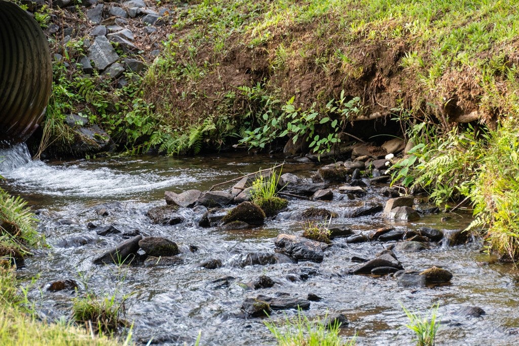 Blue Ridge, Georgia, 30513, United States, 3 Bedrooms Bedrooms, ,4 BathroomsBathrooms,Residential,Active,2008330