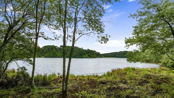 00 CAMPBELL COVE ROAD, TURTLETOWN, TN 37391 - Image 1