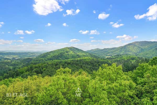 LOT 32 CROCKETT MOUNTAIN, CHERRY LOG, GA 30522, photo 3 of 15