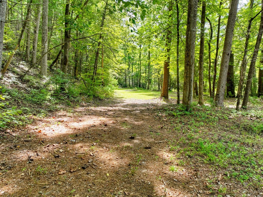 Ellijay, Georgia, 30536, United States, 2 Bedrooms Bedrooms, ,2 BathroomsBathrooms,Residential,Active,1946315