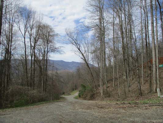 LT 5 HIGH MEADOWS RIDGE, HAYESVILLE, NC 28904, photo 3 of 30